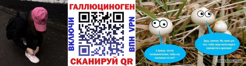 Галлюциногенные грибы Psilocybine cubensis  blacksprut онион  Череповец 